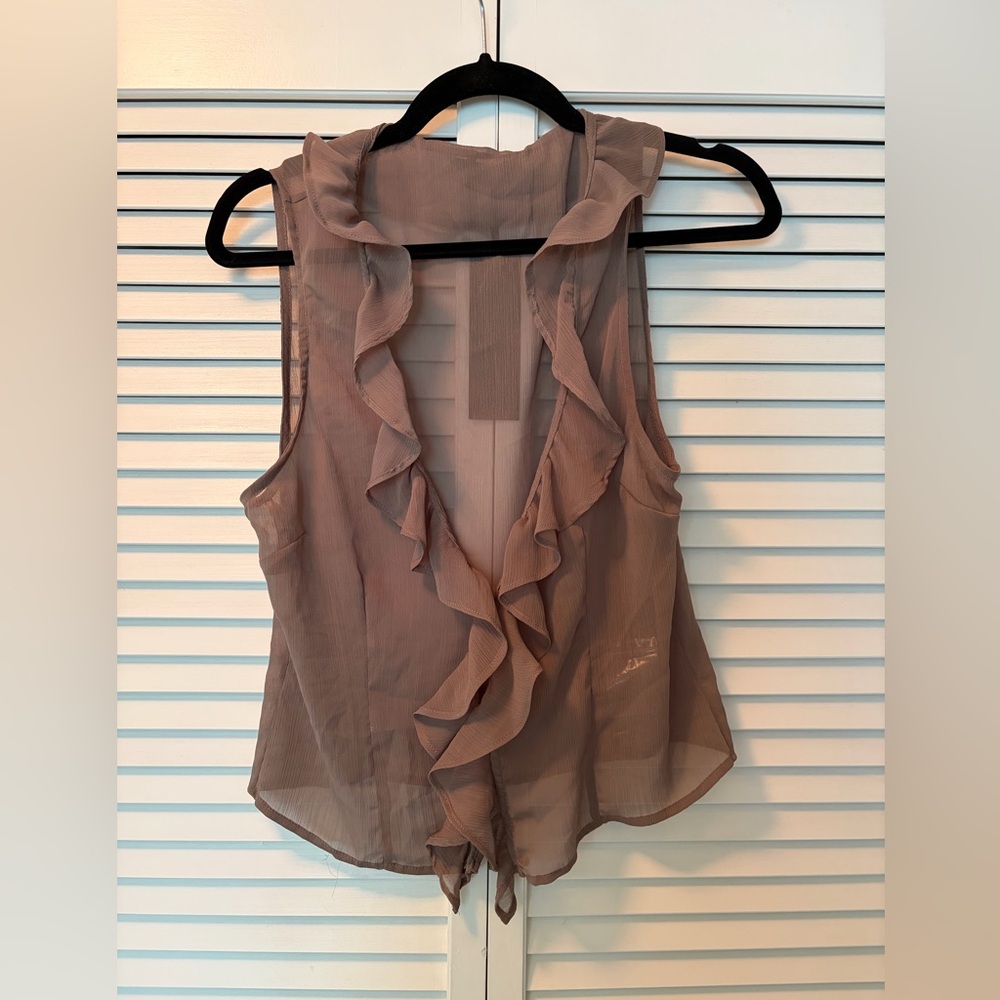 Lioness Sheer Ruffled Blouse - Brown